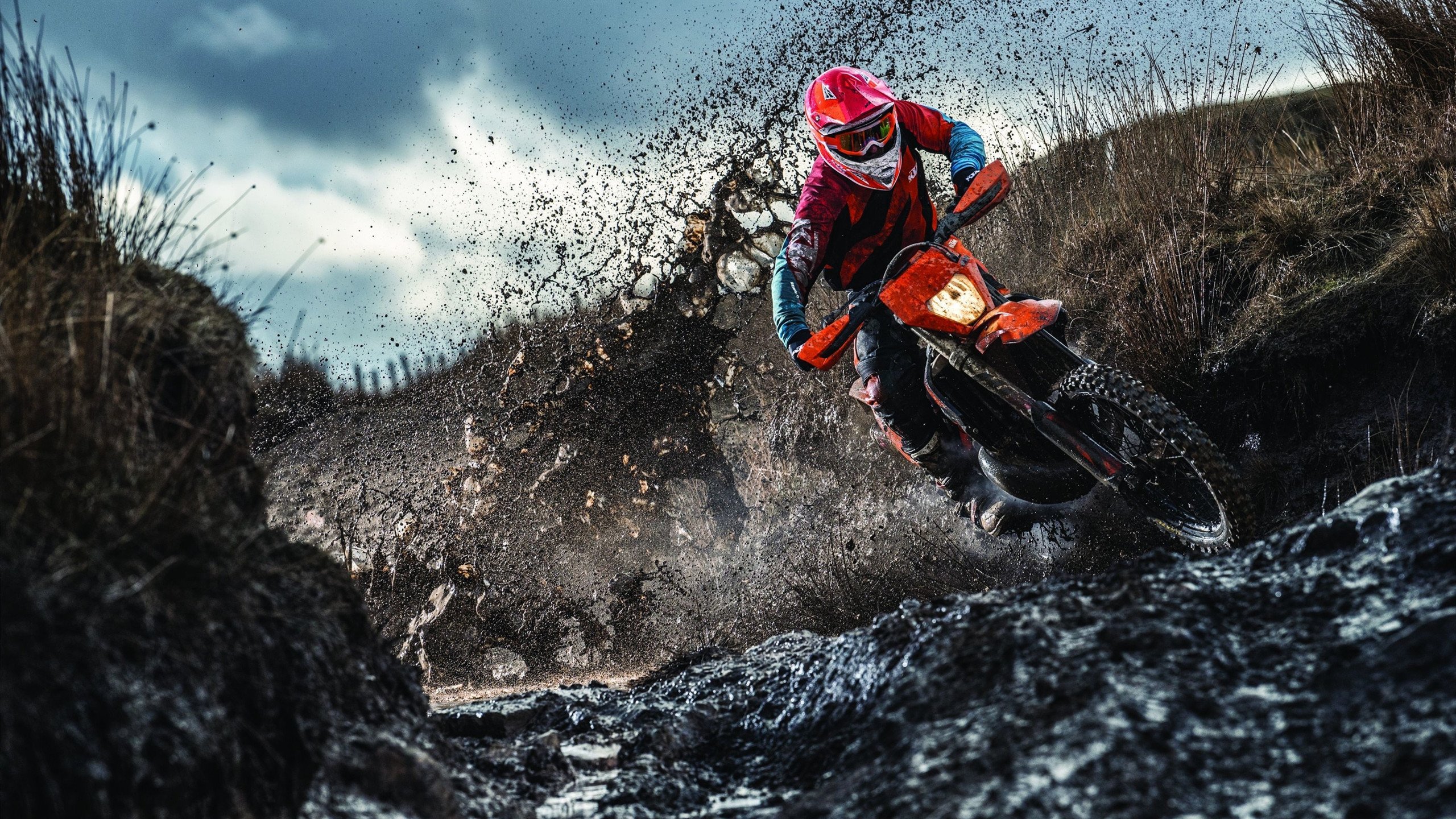 体育新闻中心联合地方广电打造体育融合传播栏目，央视体育新媒体广告投放